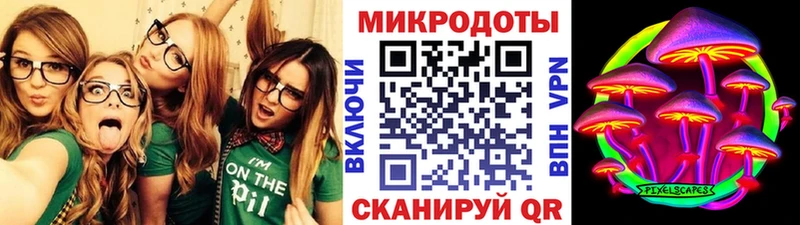 Галлюциногенные грибы GOLDEN TEACHER  Купить где  Кудрово 